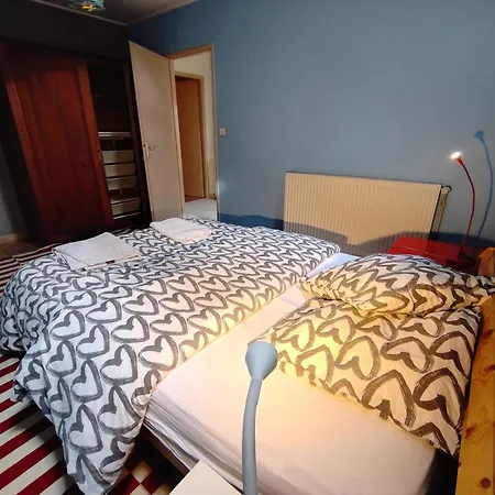 Appartement Duplex En Plein Centre Du Village Voreppe